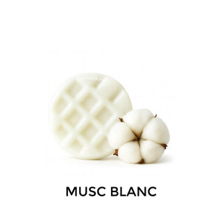 Fondant Musc Blanc