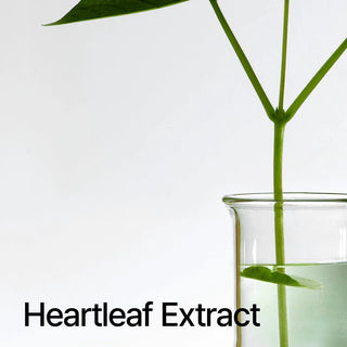 Heartleaf Pore Control Cleansing Oil - Anua