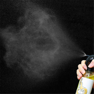 Spray cheveux collagène A+ CER-100 – Elizavecca