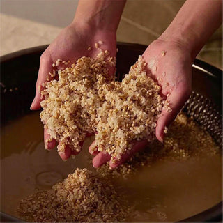 Fresh Green Rice Mochi Cleanser – Arencia