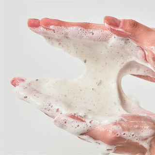 Heartleaf Quercetinol Cleansing Foam - Anua